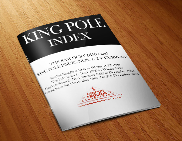 king pole index mock up brochure