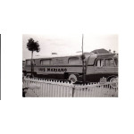 B/w Postcard; Vehicle Circus Pinder 1957
