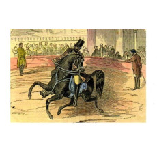 Postcard Pablo Franque and his trained steed at Astleys Amphitheatre