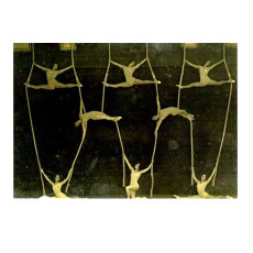Postcard Aerial Troupe
