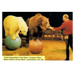 Postcard Clubb-Chipperfield Bears John Illig