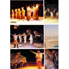 Six Postcards Frederic Edelstein la Passion Des Tirges Et Des Lions Pinder Jean Richard