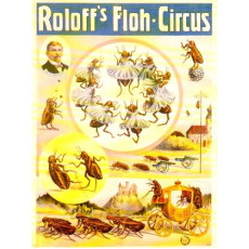 Postcard Roloffs Floh Circus